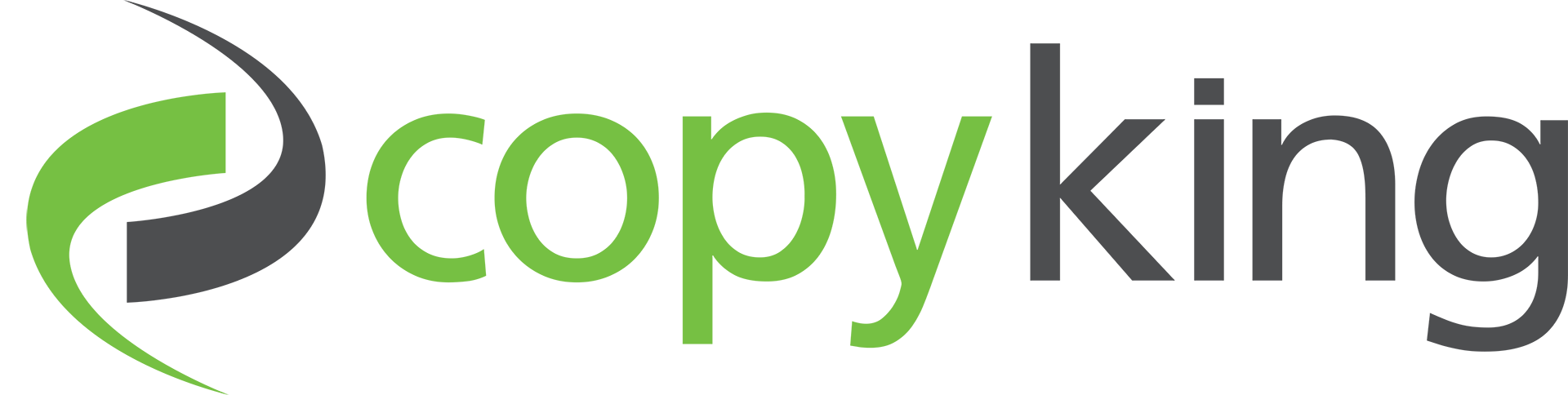 Copyking-Logo